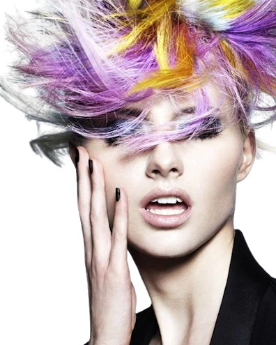 Model